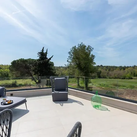 Modern Caruso With Pool In Vabriga Villa