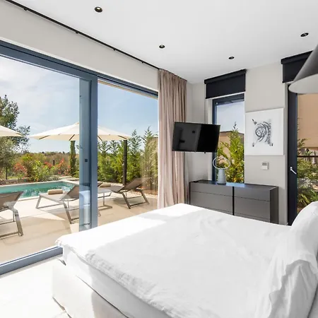 Modern Caruso With Pool In Vabriga