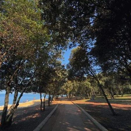 Modern Caruso With Pool In Vabriga فيلة